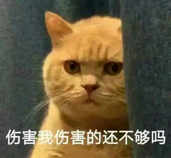 超搞笑超逗表情包,小猫咪要抱抱