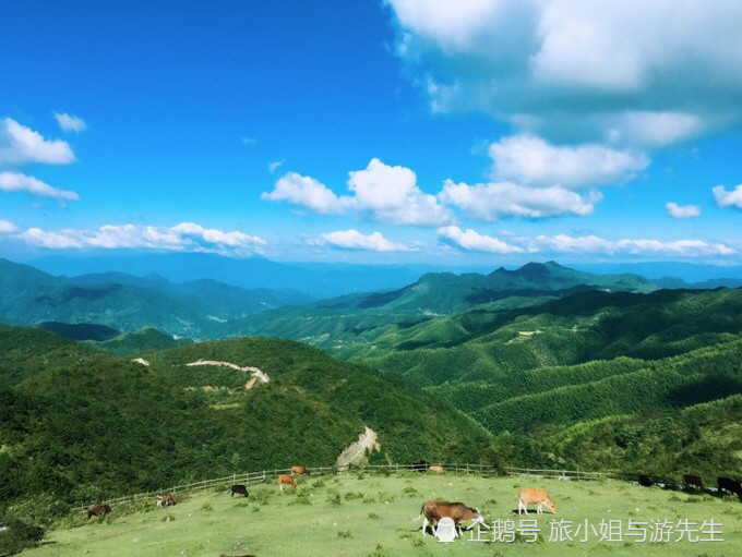 仰天湖草原风景区