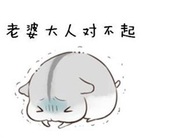 小仓鼠老婆表情包:说了多少次了,要听老婆的话!