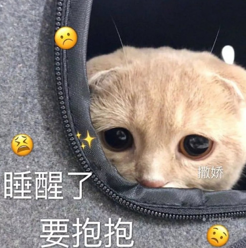卖萌专用的表情包,喜欢小编这种风格的千万不要犹豫了,快把我分享给