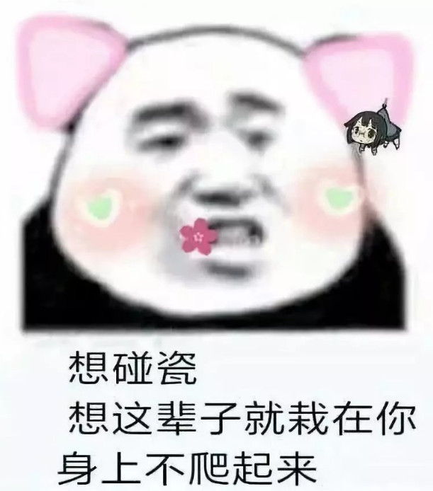 女生熊猫头表白表情包:妆都画好了,你说不出门了,这谁