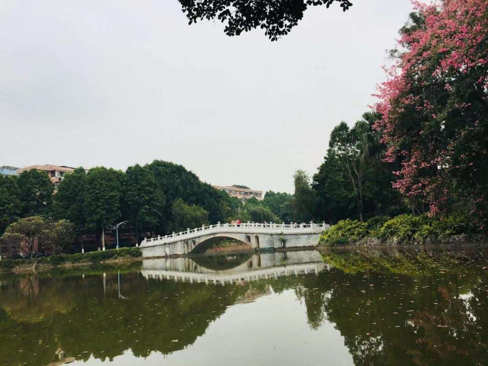 组图:华南师范大学风景,一年四季绿树成荫