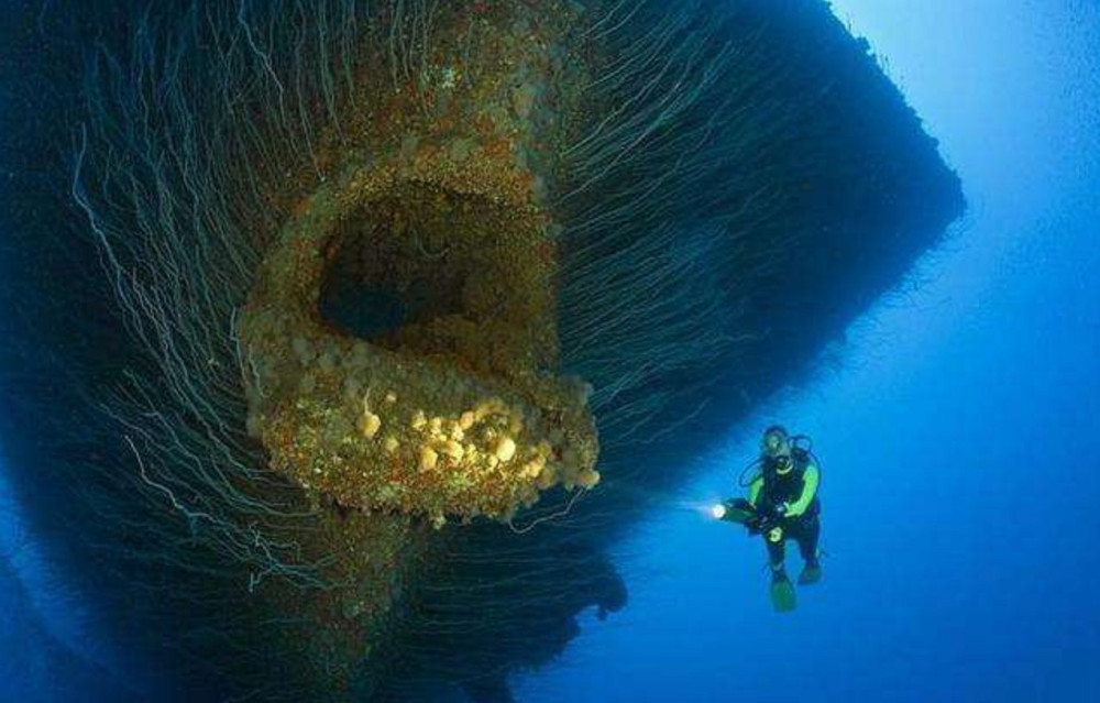 马里亚纳海沟8000米处发现令人恐惧生物,专家推测有特殊能力