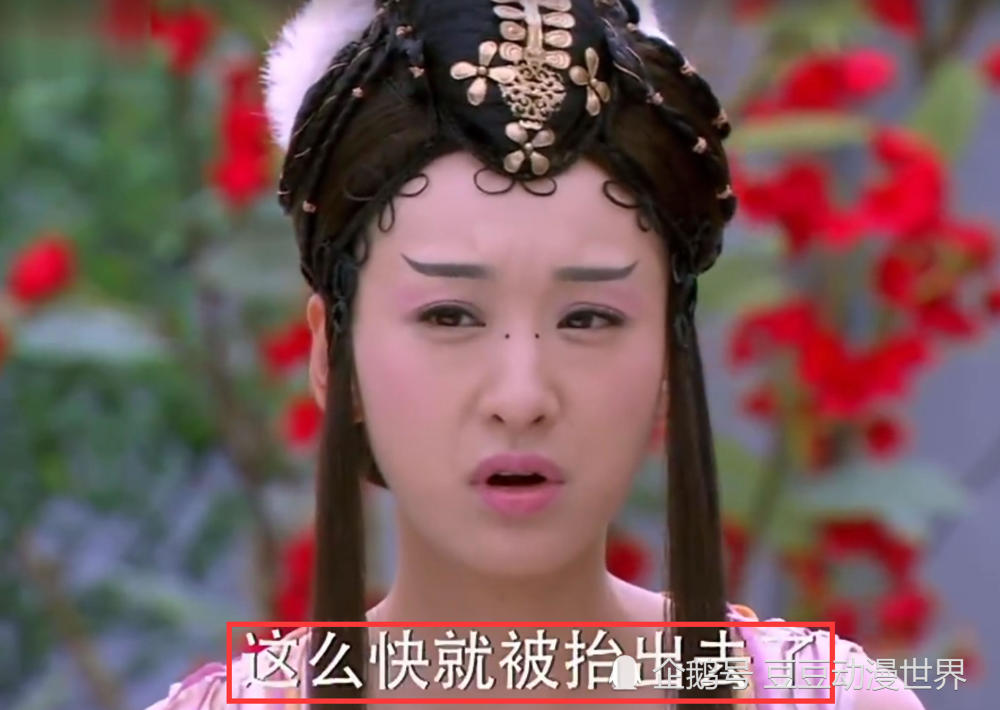 九妹,白大王,千羽鹤,天天有喜