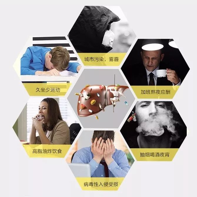 抽烟,喝酒,熬夜一样不落!谁来保护你的肝?