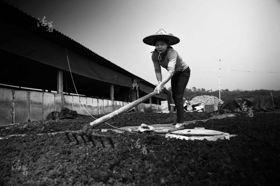 【活着】越南女子的中国梦_腾讯新闻