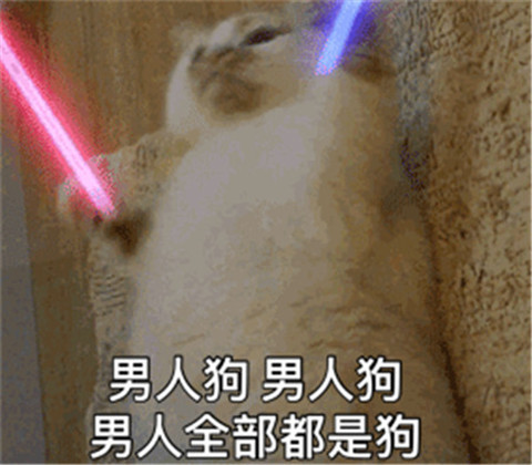 表情包疯狂蹦迪:男人全部都是