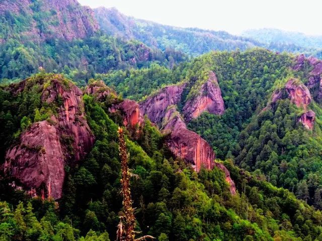 罗古箐,怒江,普米,兰坪县,老君山,高山