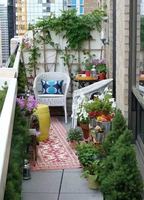 五,观赏性较高的阳台布置:阳台小花园,美观漂亮又赏心悦目.