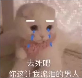 超萌的"猫咪"表情包,你看我这怀疑人生的小眼神