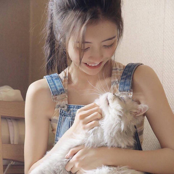 猫系女生头像:猫是可爱的物种,而你是撩人的一种