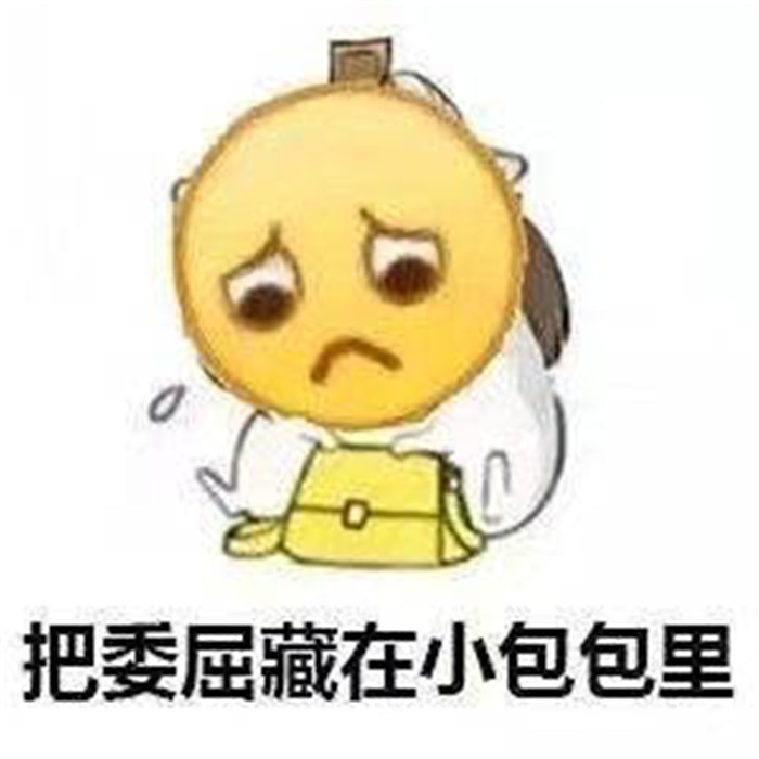 搞笑表情包合集:把委屈藏到小包包里