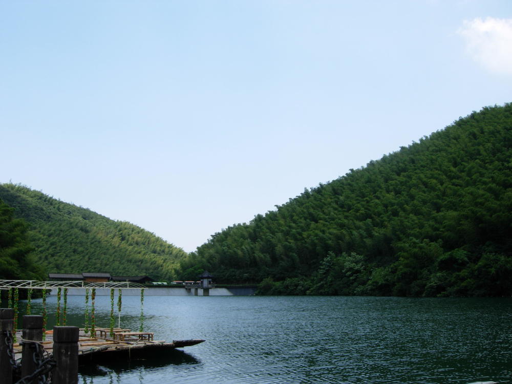 旅游景区,竹海,江苏,南山竹海,竹林