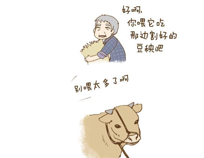 治愈系小漫画:责怪不了任何人的故事!