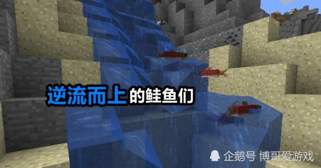 我的世界:鱼不为人知的8个细节,3800个变种,血量堪比狼