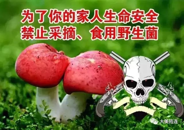 筠连县市场监督管理局预防野生菌中毒的温馨提示