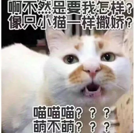 qq搞笑聊天表情包:连豆腐都有脑,你却没有