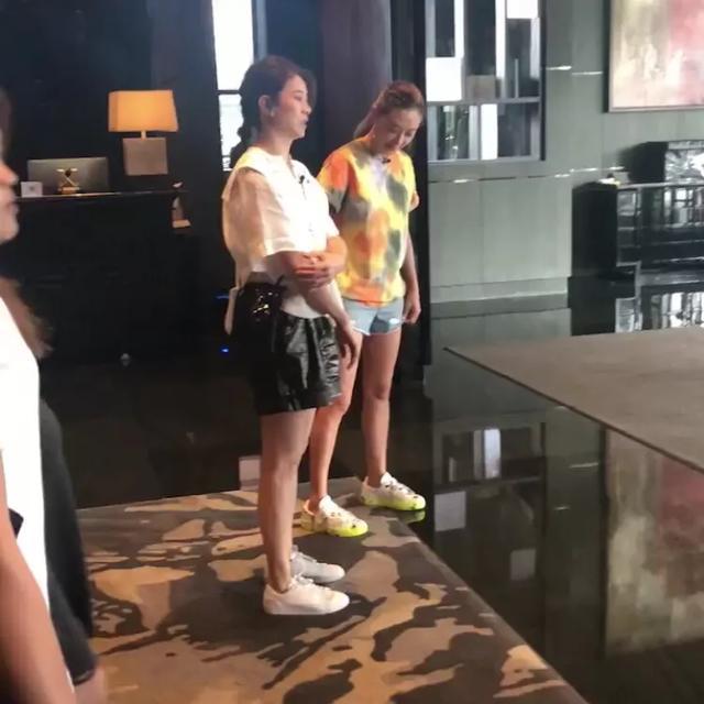 应采儿,谢娜,八卦,袁咏仪,妻子的浪漫旅行