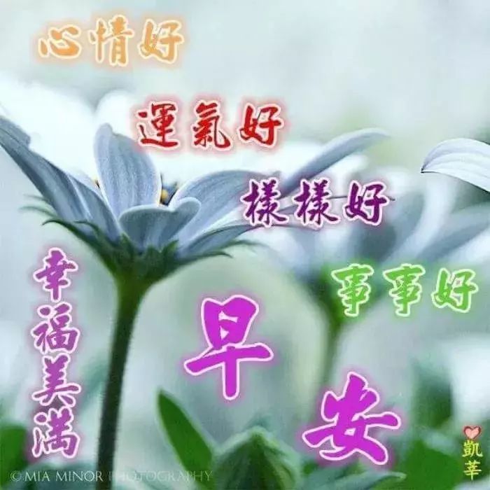 最美精选早安问候语表情图片带字温馨 朋友圈最温馨的
