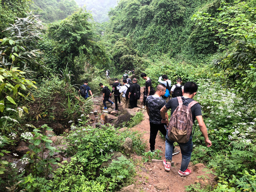 杜鹃花,杭州,小和山,国家森林公园,北高峰