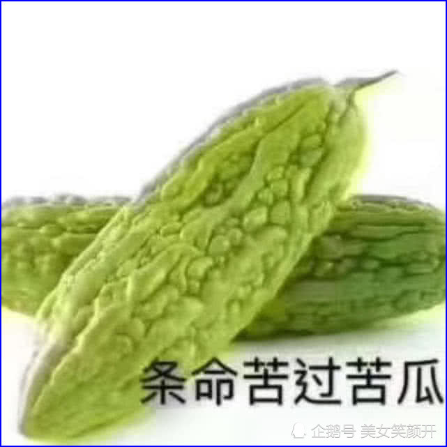 搞笑男女朋友聊天表情包:我是狗,最近好多人偷猪我怕你出事
