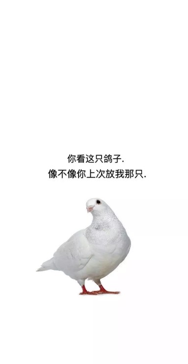 有时真的是当你什么都不奢望的时候,一切都会如期而至; 以上就是小新