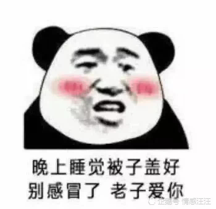 情侣之间聊天常备的表情包:说不过你,但喜欢你!