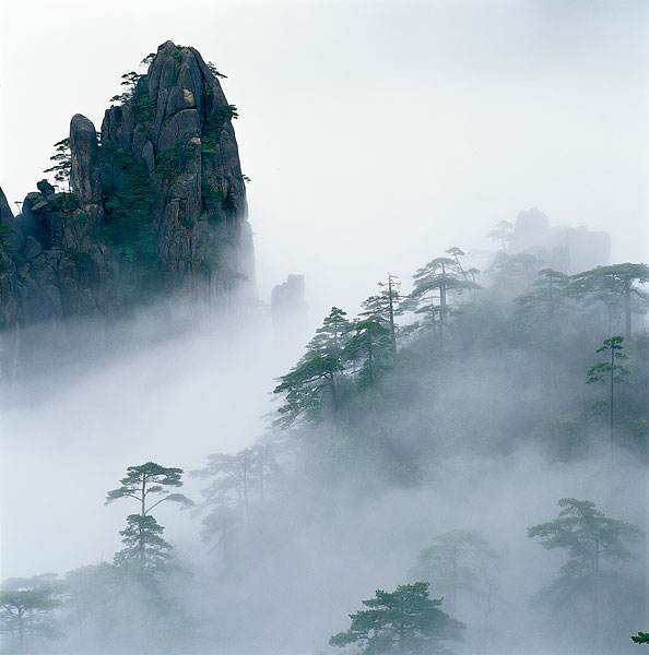 雾里看山,这是黄山赋予人类想象的机会,所以,你不要错过呦.