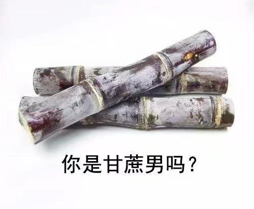 搞笑超逗的表情包,你是甘蔗男吗