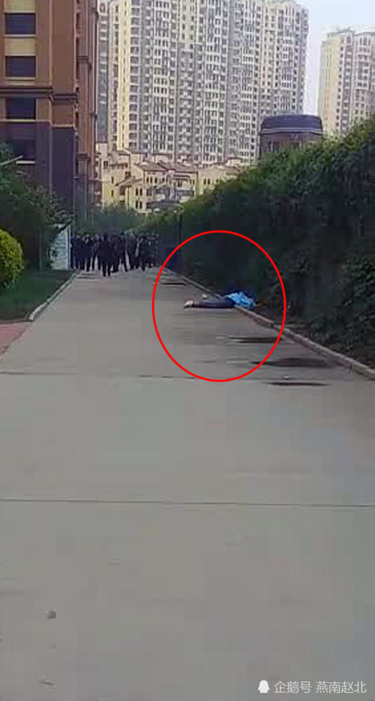 保定一小区发生坠楼事件当场身亡