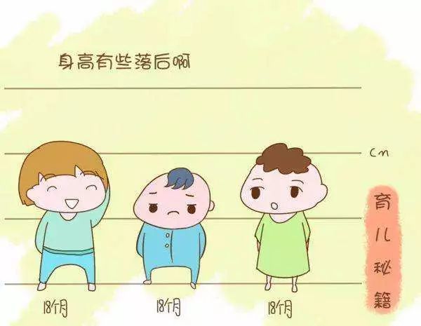 儿童发育迟缓从以下四个方面判断!