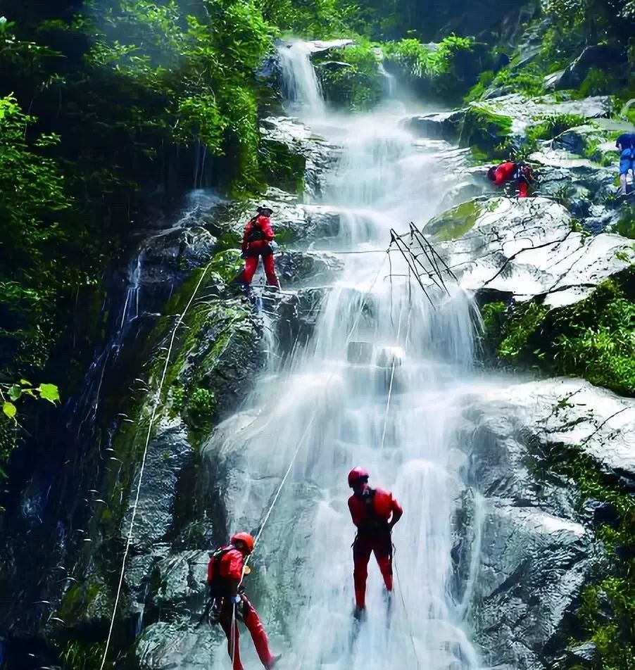 云上大院云锦杜鹃美景 这个季节的炎陵 没有夏日的燥热,冬日的严寒