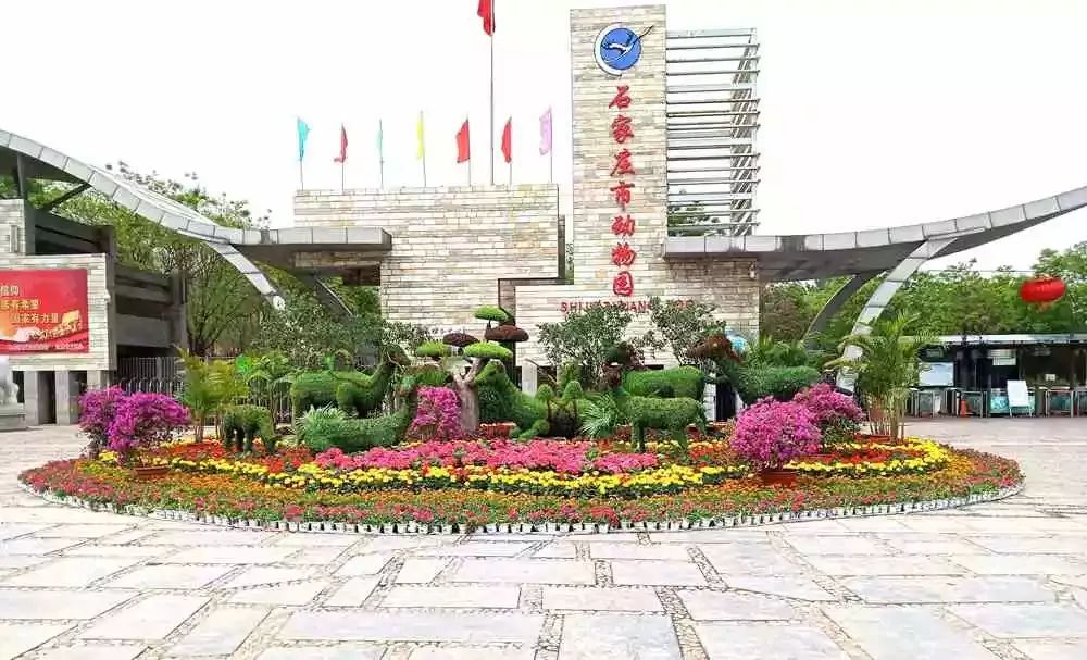 石家庄市公园广场摆花迎"五一"