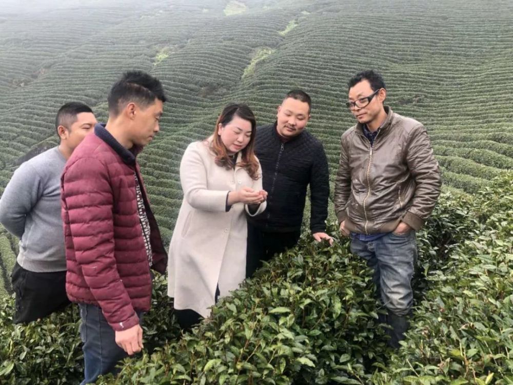 汉中市劳动模范——鲁琼