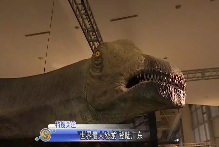 "世界最大恐龙"登陆广东,它一天的食量居然这么多!