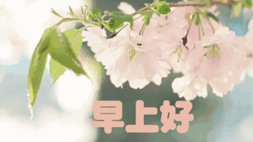 最新版早晨问候语句大全 04.29新版的最温馨的早安