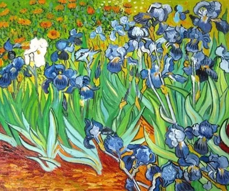 1889年 文森特·梵高《鸢尾花》