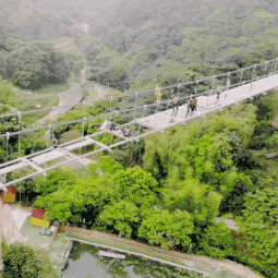 广州首座森林玻璃桥居然就在增城!你敢不敢去走一趟?