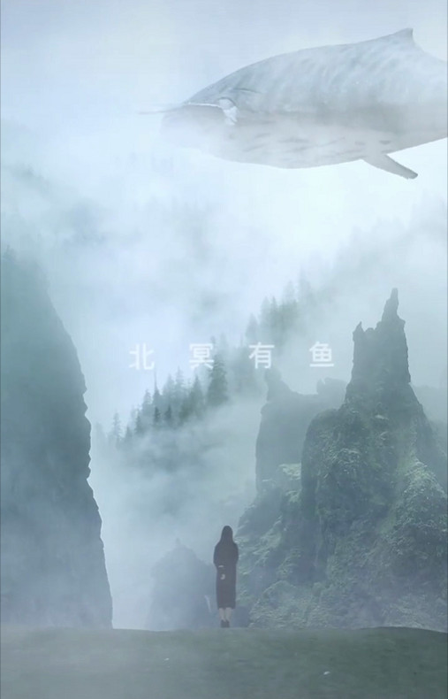 "北冥有鱼"拍照算什么?看到它,网友表示:一锅炖不下!