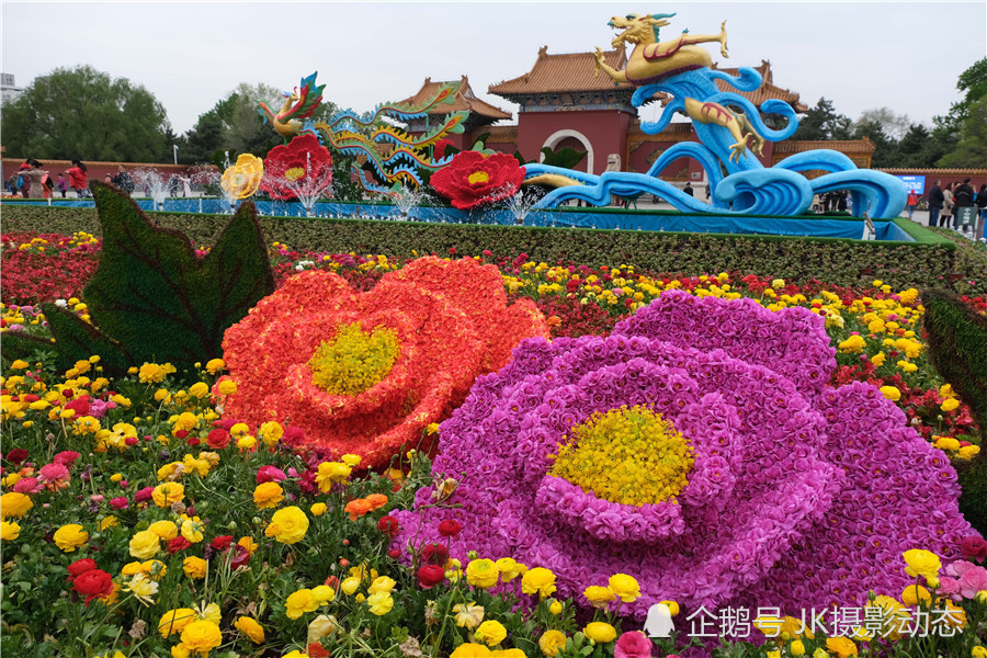 沈阳北陵公园五月花朝节开幕吸引众多游客赏花闻香