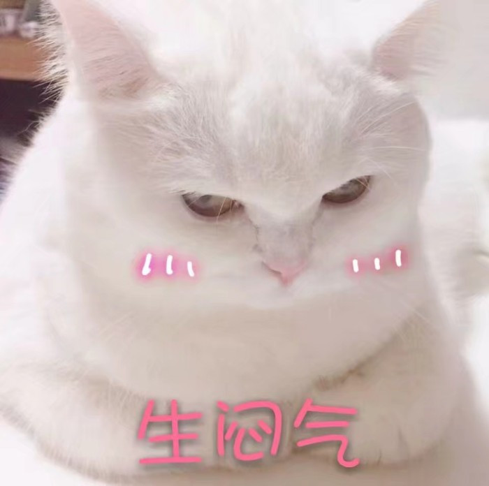 可爱萌宠猫咪搞笑表情包:拉黑吧,有事漂流瓶联系!