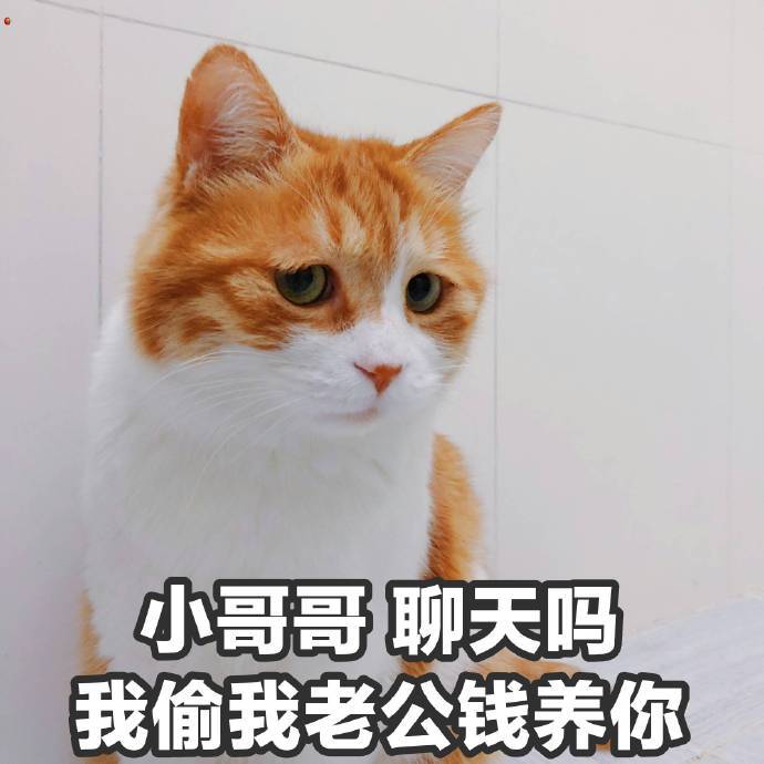 搞笑超可爱的猫咪表情包,别以为你丑我就不打你