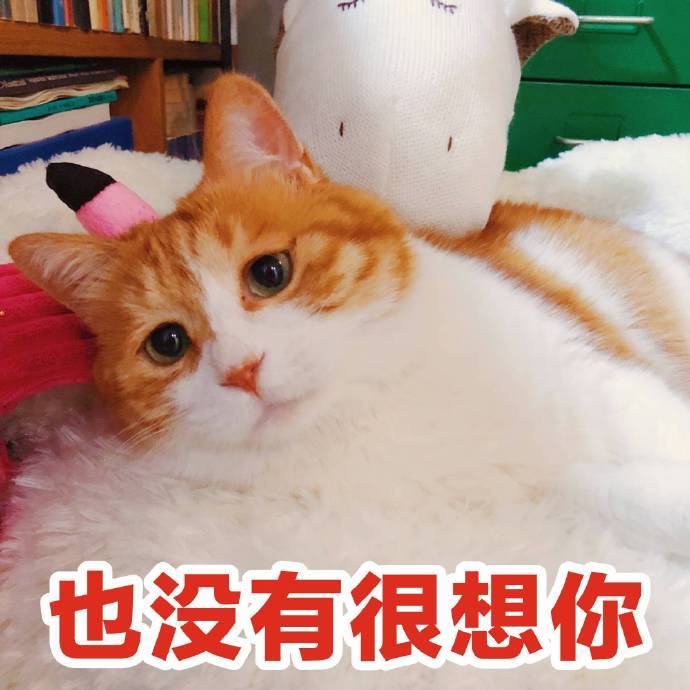 搞笑可爱的猫咪表情包 也没有很想你 看点快报