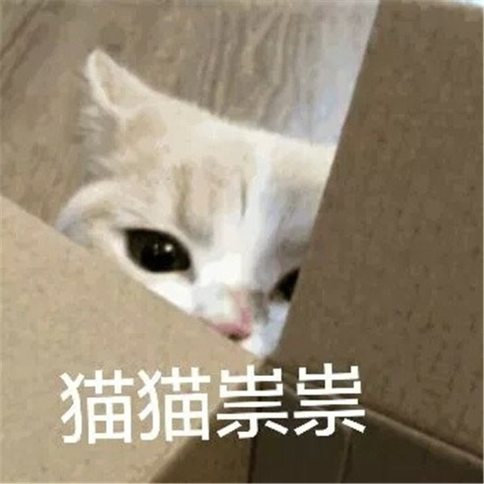 可爱萌宠猫咪表情包:我吃太多被关起来了,委屈!