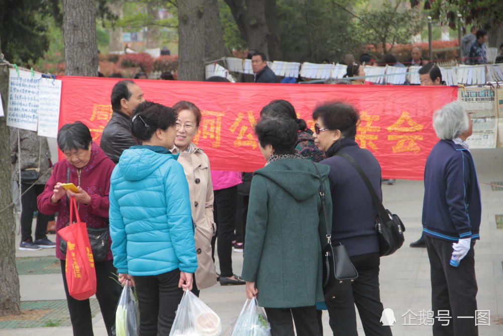 青岛公园里办相亲大会,九成以上是老人