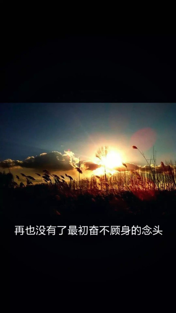 抖音潮图:文字壁纸