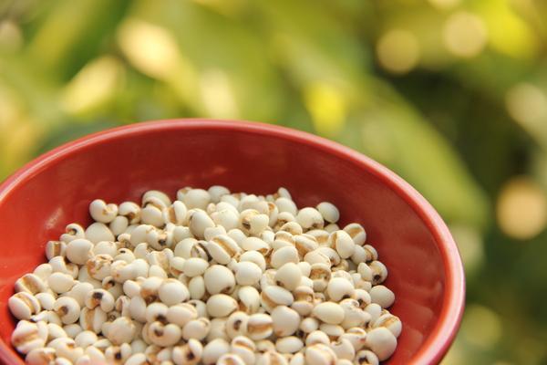 红豆薏米粥祛湿,要喝多久才能见效?-天天快报