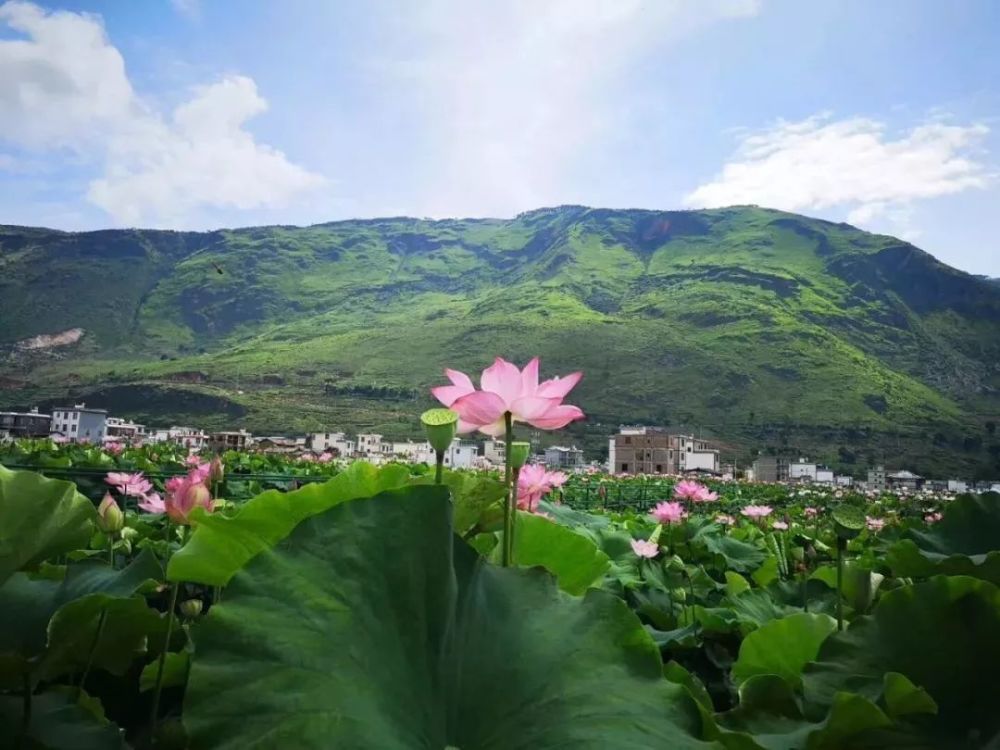 三川镇,丽江古城,永胜县,云南