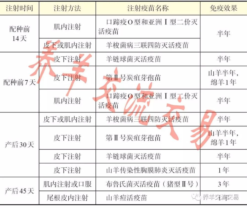 羊免疫程序清单!全了