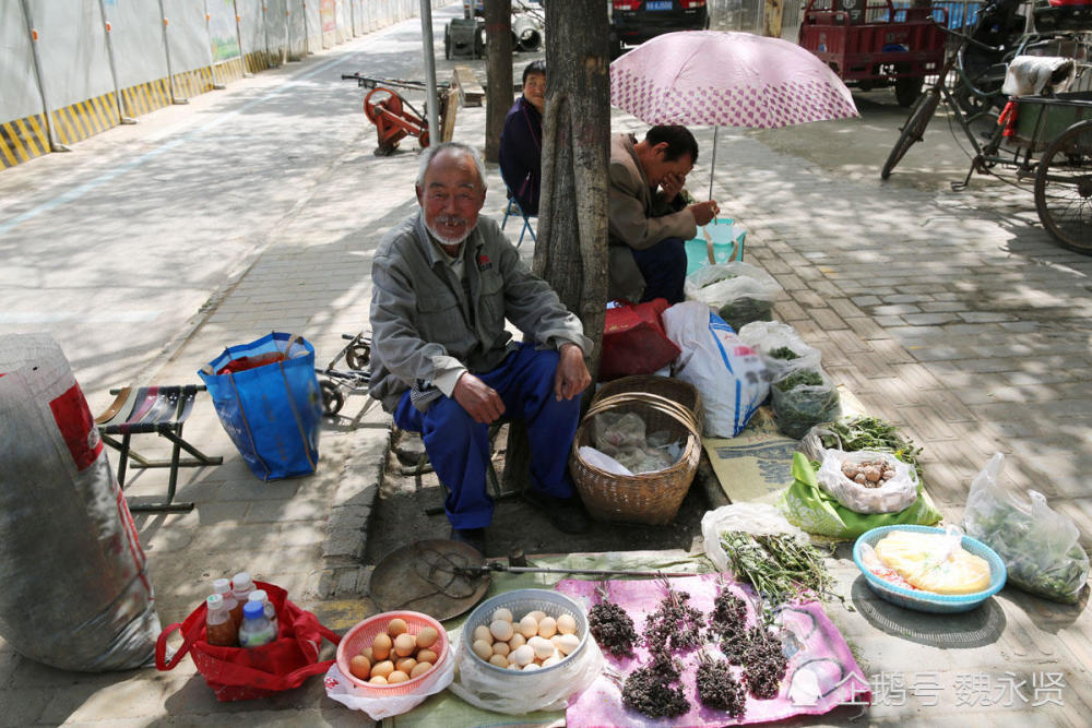 西安,白鹿原,老人,卖菜